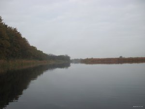 IMG_7037.JPG