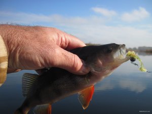 IMG_7038.JPG