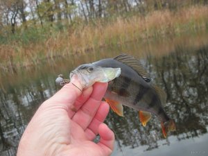IMG_7039.JPG