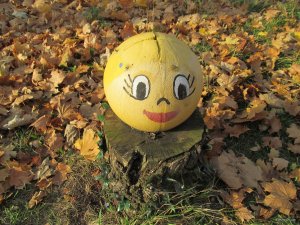 IMG_9690 — копия.JPG