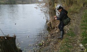 IMG-53f7721d2b525c54a4df251ded8231ad-V.jpg