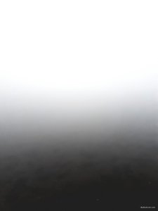 20181028_153952.jpg