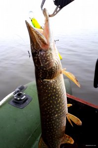 20181028_153931.jpg