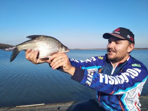 IMG_20181030_124246_BURST9.jpg