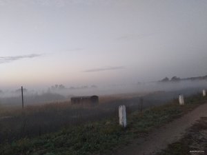 IMG_20181030_060621.jpg