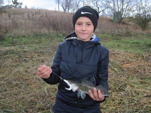 IMG_9213.JPG