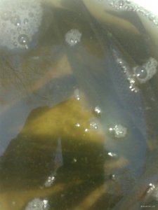 20181030_144446.jpg