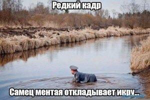 IMG-87b588db42395b85049a34e9e3ec22ff-V.jpg