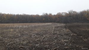 20181031_080453.jpg