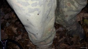 20181031_160319.jpg