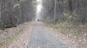 20181031_161257.jpg