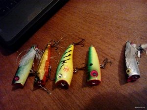 IMG_20181031_190807.jpg