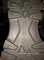 P81101-170044.jpg