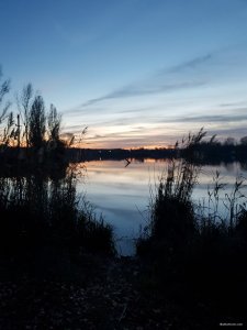 20181102_164026.jpg