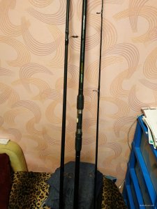 IMG_20181030_080914.jpg