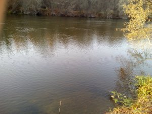 IMG_20181103_080309.jpg