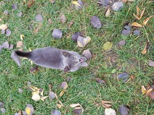 20181031_110705.jpg