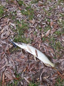 20181031_105103.jpg