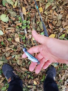 20181031_121138.jpg