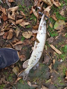 20181031_111926.jpg