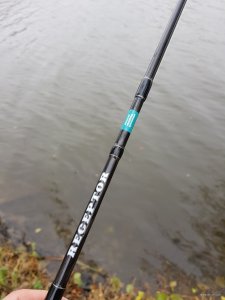 20181031_112714.jpg