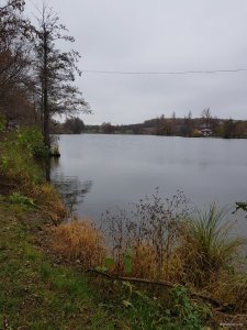20181031_103252.jpg