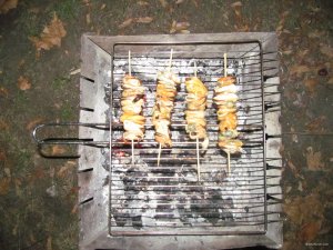 IMG_9768.JPG