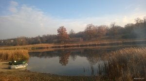 WP_20181104_001.jpg