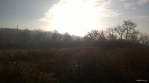 WP_20181104_002.jpg