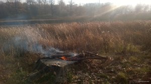 WP_20181104_003.jpg