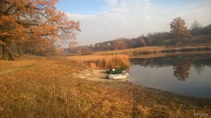 WP_20181104_004.jpg