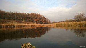 WP_20181104_007.jpg