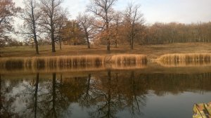 WP_20181104_008.jpg