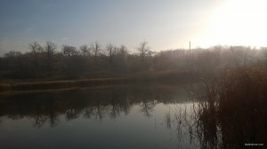 WP_20181104_005.jpg