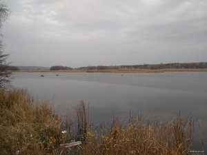 IMG_20181104_104859.jpg