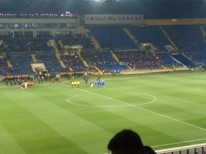 IMG_20181103_170011.jpg