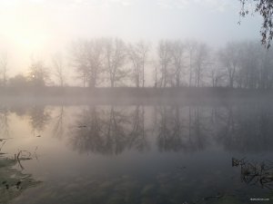 20181104_065408.jpg