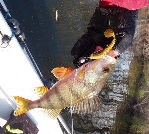 20181104_123401.jpg