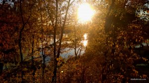 IMG_20181105_151429.jpg