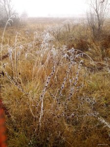 IMG_20181109_100156.jpg