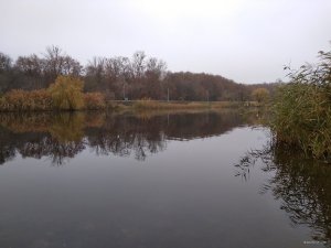 IMG_20181110_130646.jpg