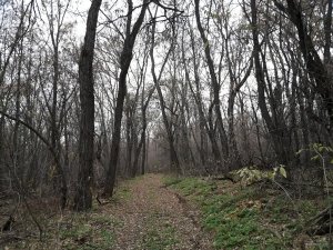 20181111_151734.jpg