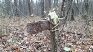 20181111_092843.jpg
