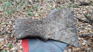 20181111_094829.jpg