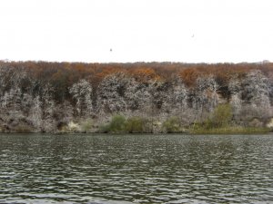 IMG_4104.JPG
