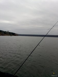 IMG_20181111_134524.jpg