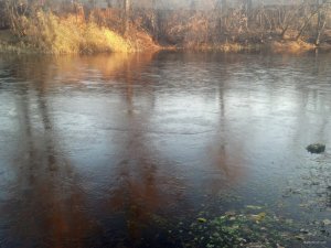 IMG_20181113_072141_385[1].jpg