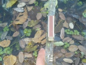 IMG_20181113_072307_865[1].jpg