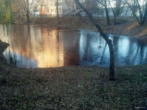 IMG_20181113_072434_709[1].jpg