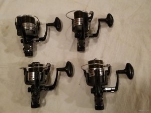 20181112_113459.jpg